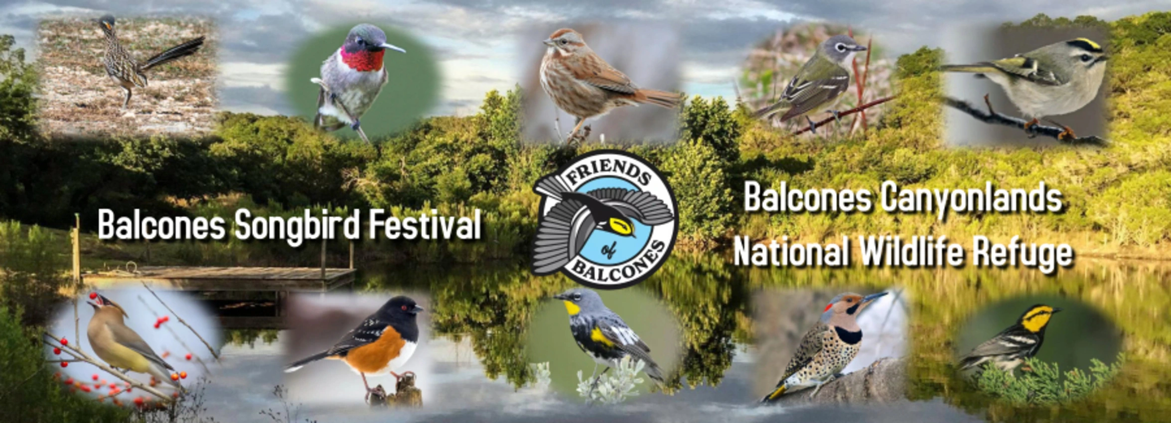 Balcones-Songbird-Festival_Desktop_ET