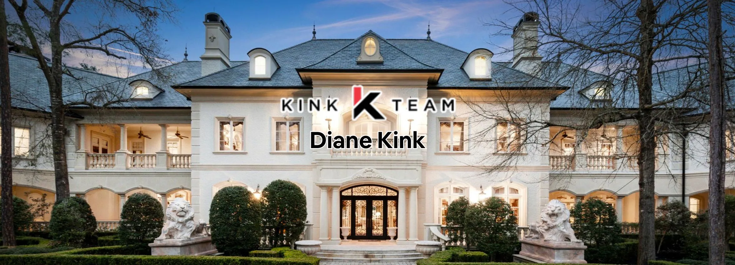 Diane-Kink-Kink-Team_Desktop_ET