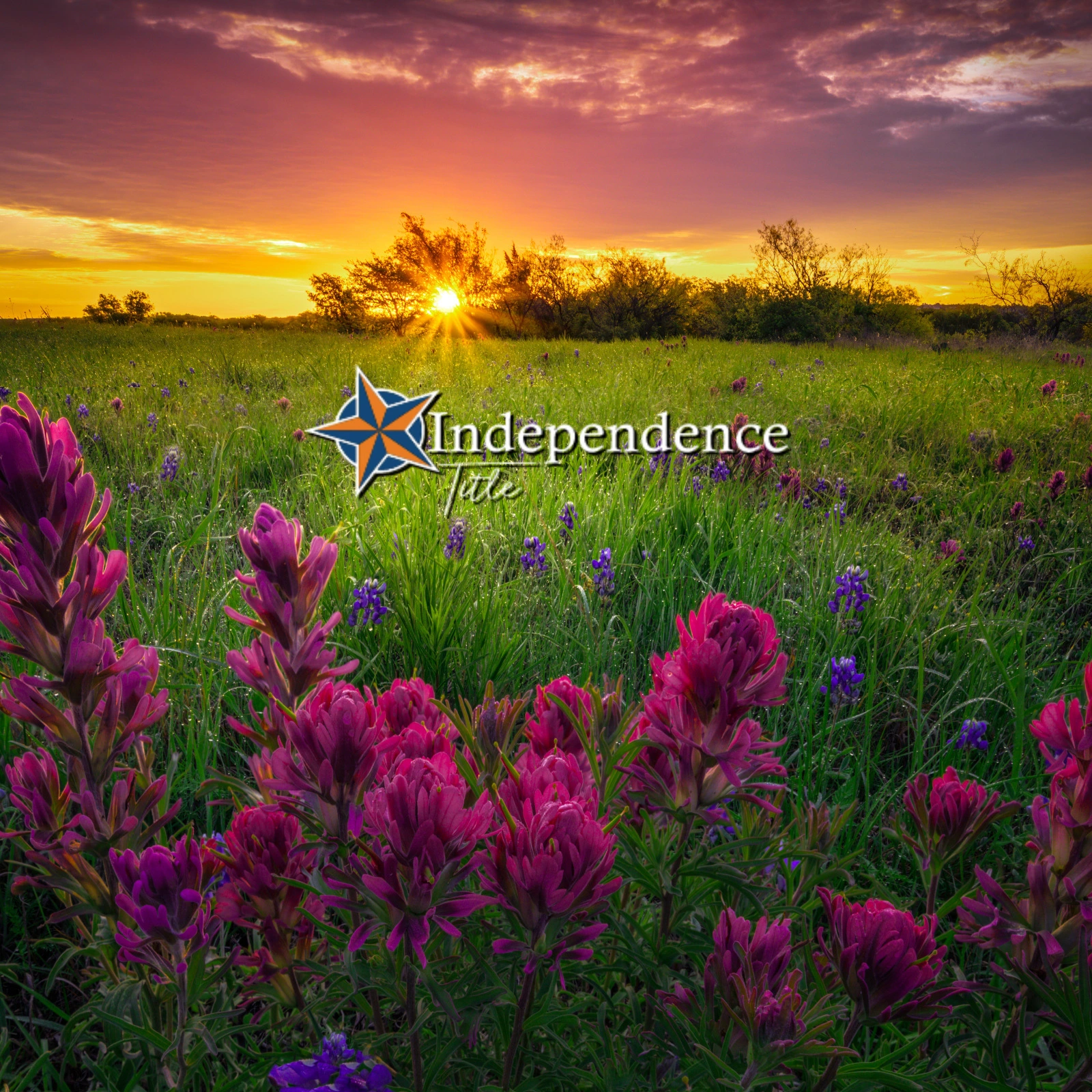 Independence-Title_Mobile_ET