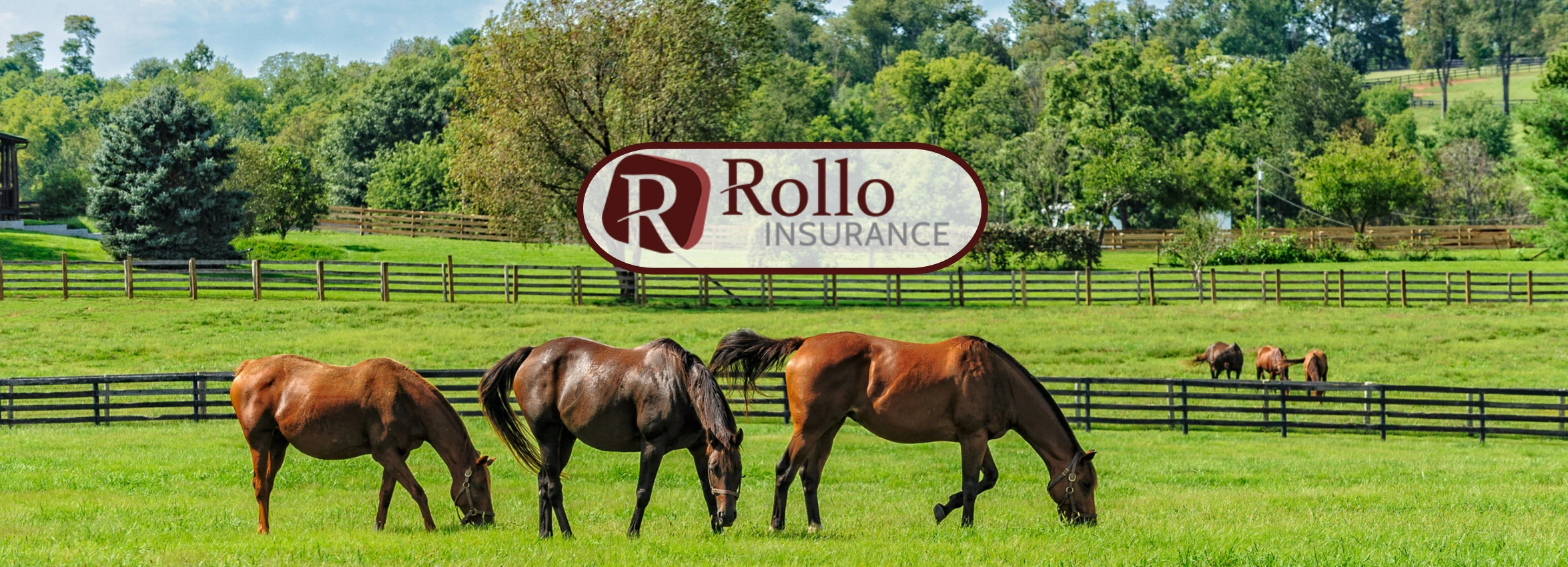 Rollo-Insurance_Desktop_ET