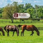 Rollo-Insurance_Mobile_ET