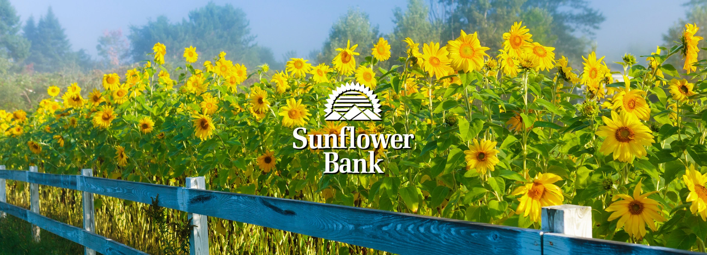 Sunflower-Bank_Desktop_ET