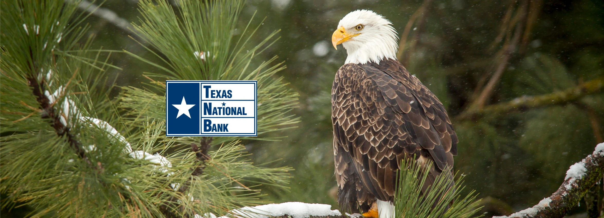 Texas-National-Bank_Desktop_ET