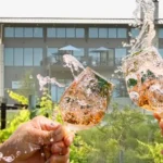 Chapelton-Vineyards_Desktop_ET