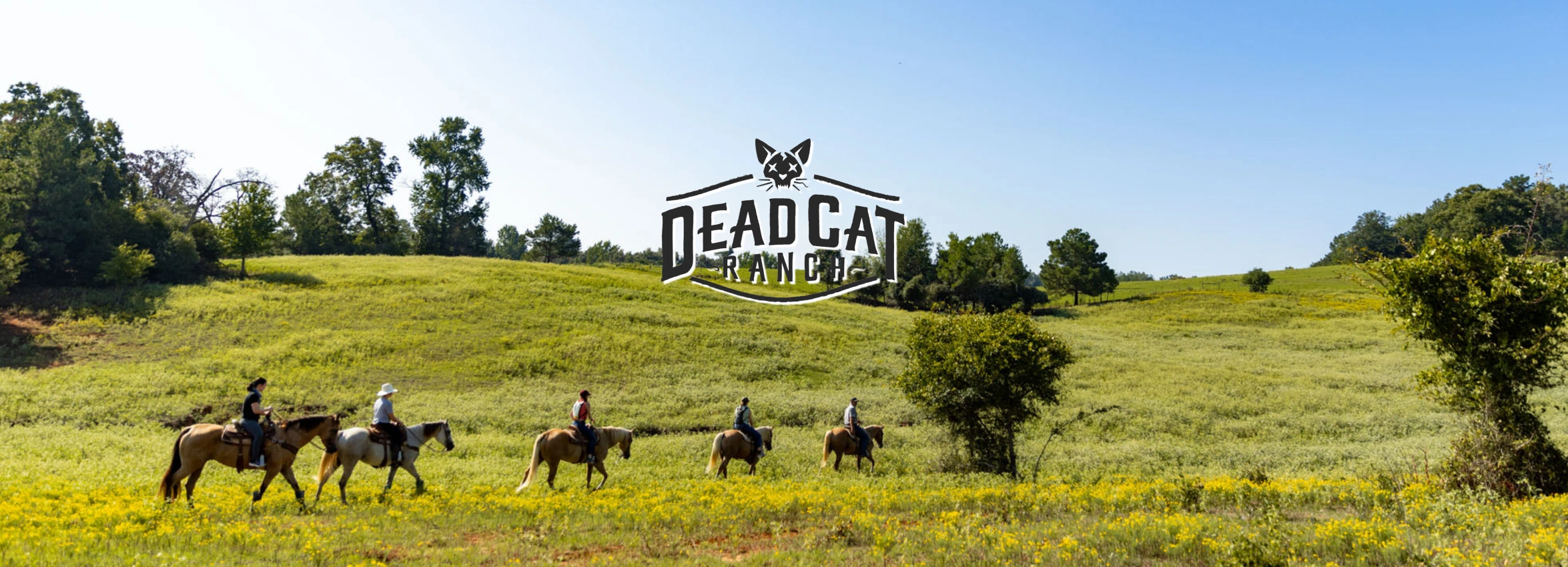 Dead-Cat-Ranch_DEsktop_ET
