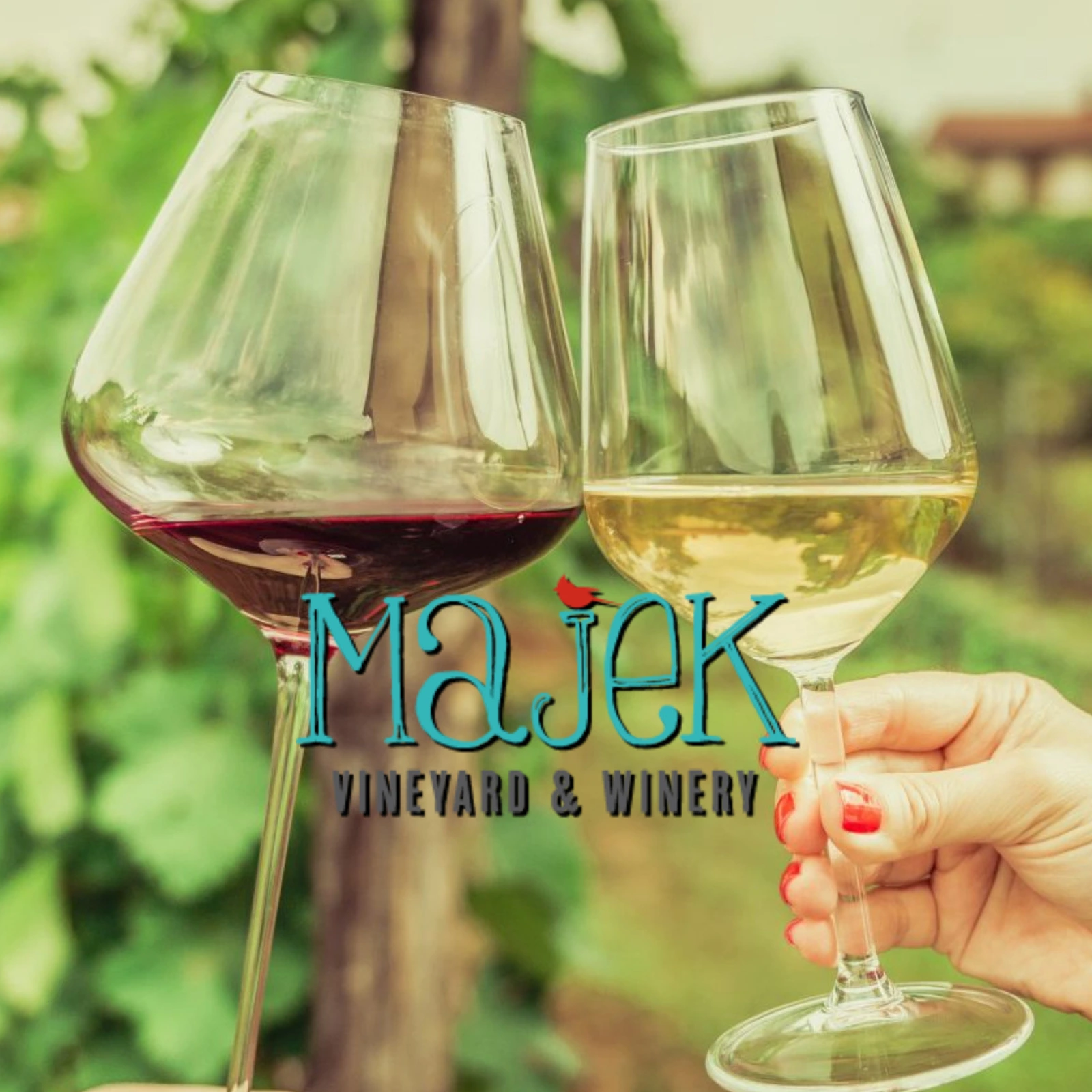 Majek-Vineyard-Winery_Mobile_ET