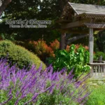 Martha_s-Bloomers-Home-and-Garden_Mobile_ET