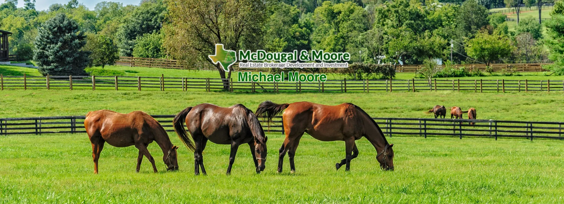 Michael-Moore-McDougal-_-Moore_Desktop_ET