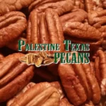 Palestine-Texas-Pecans_DEsktop_ET
