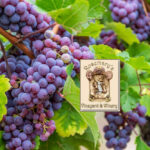 Rosemarys Vineyard and Winery_Mobile_ET