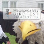Matagorda-Bay-Birdfest_Desktop_ET