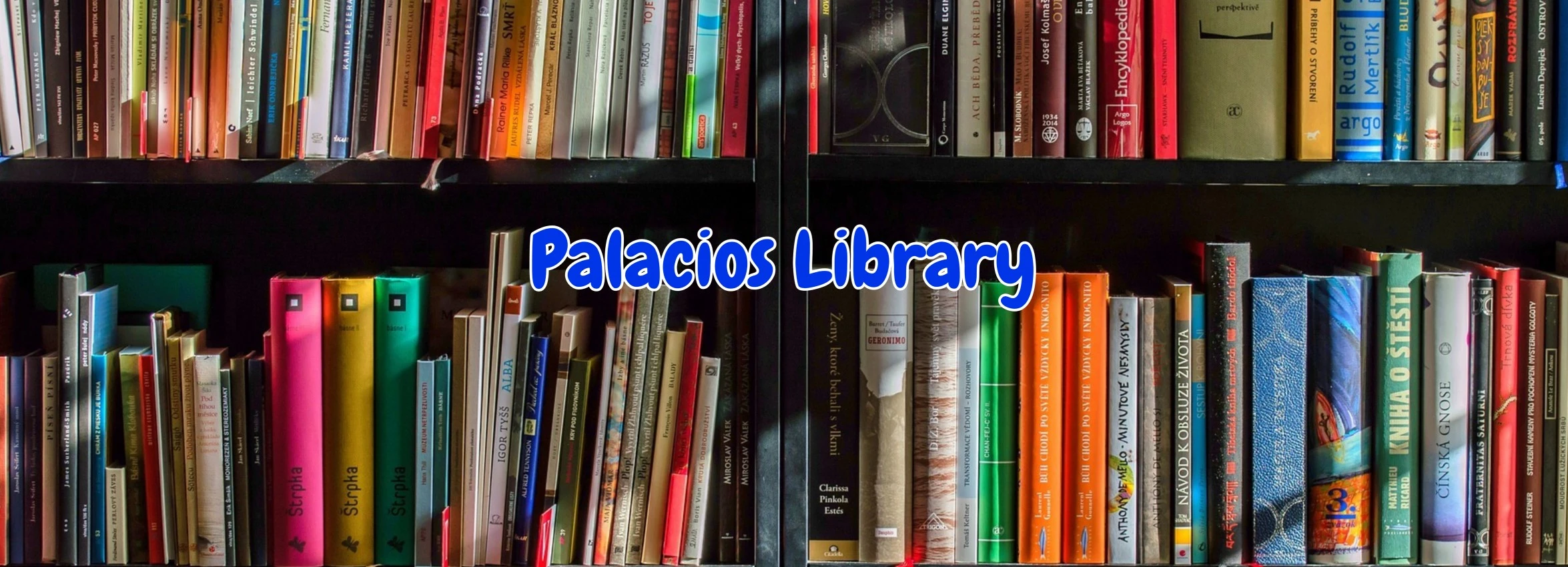 Palacios-Library_Desktop_ET