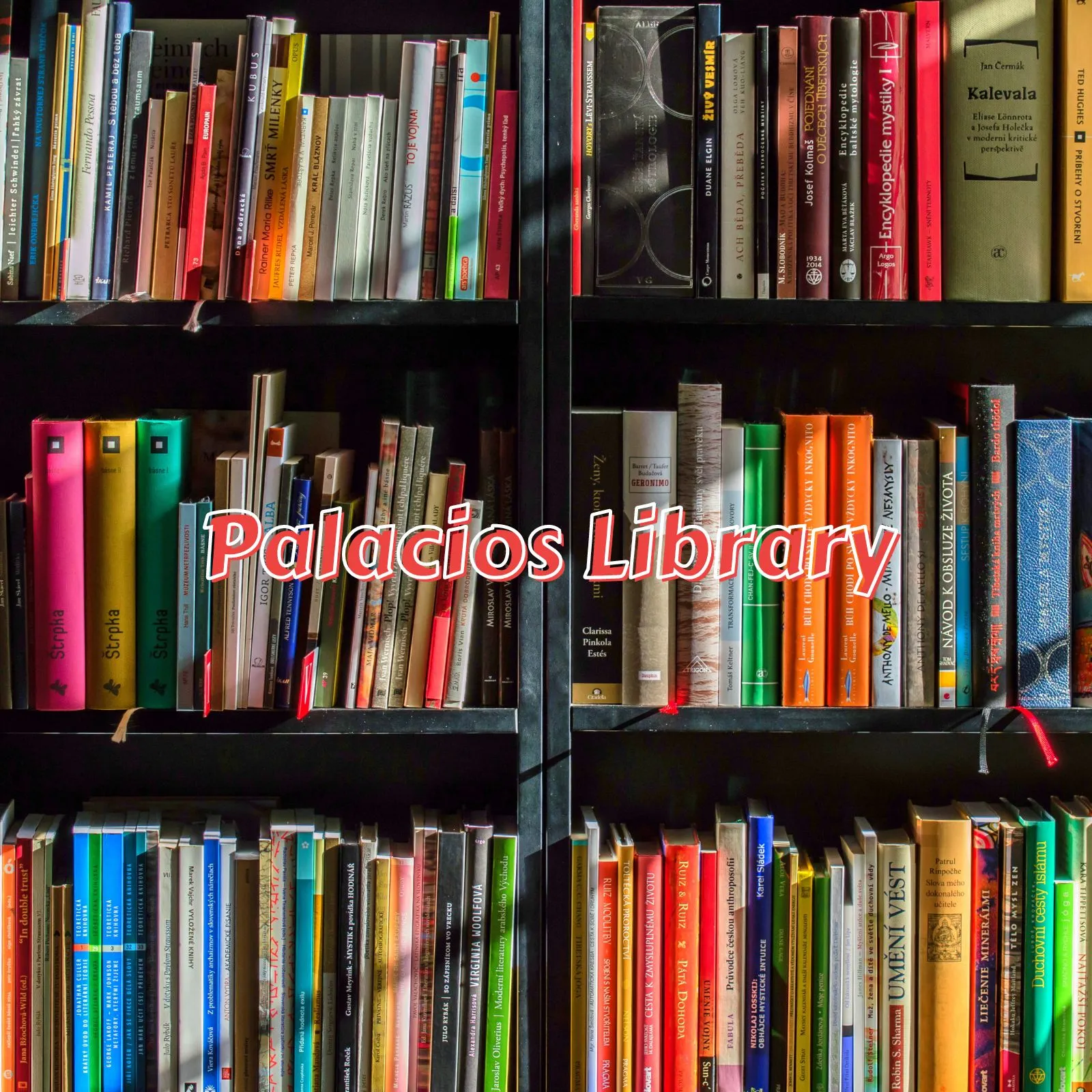 Palacios-Library_ET