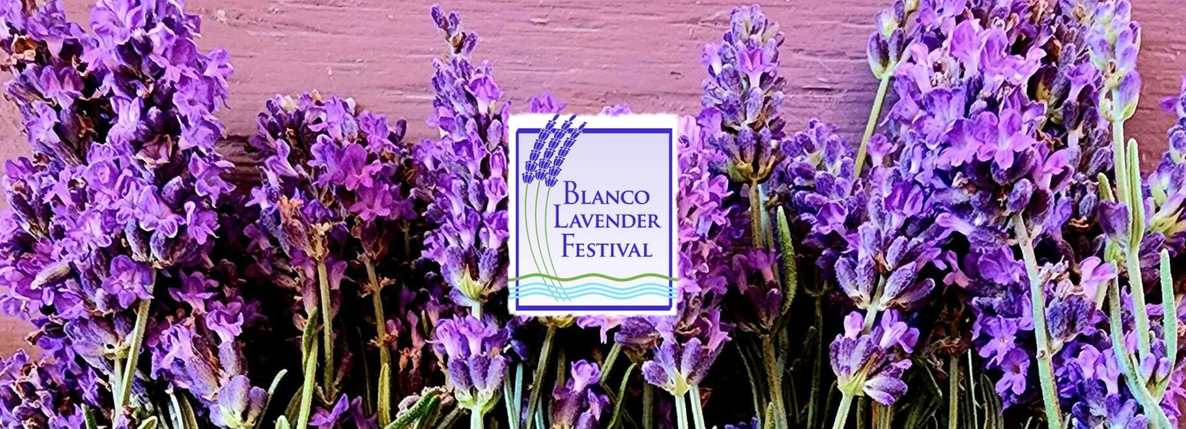 Blanco-Lavender-Festival_desktop_ET