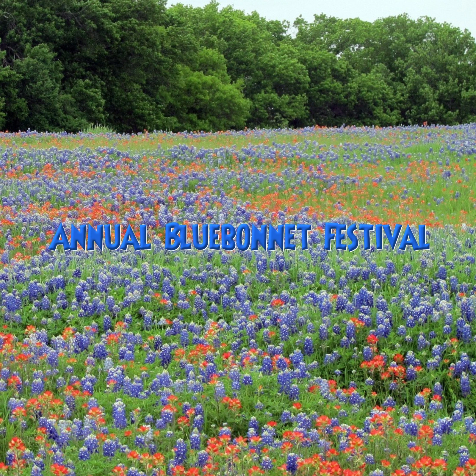 Bluebonnet-Festival_Mobile_ET