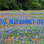 Bluebonnet-Festival_desktop_ET
