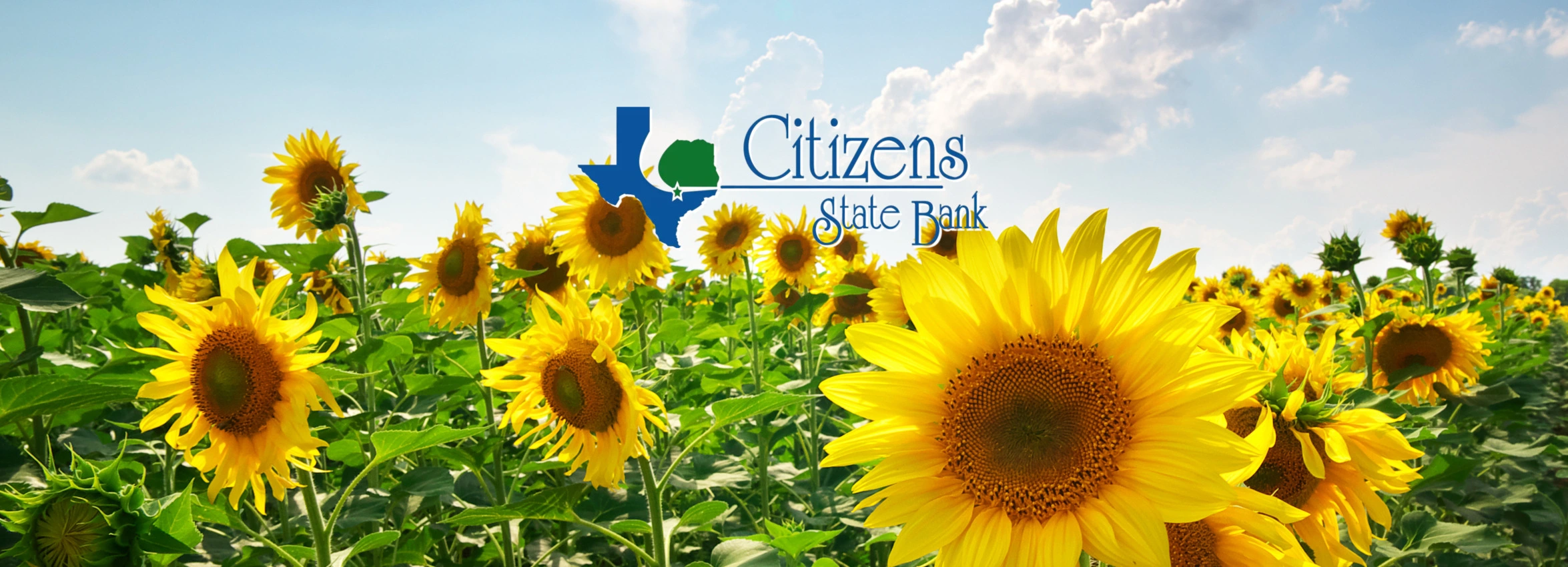 Citizens-State-Bank_desktop_ET