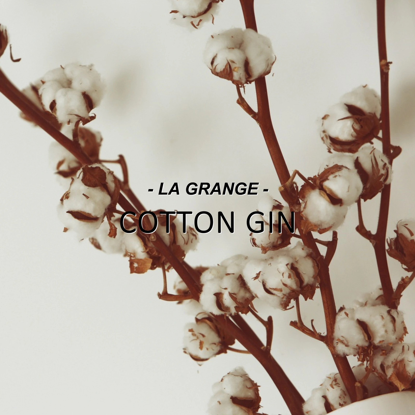 Cotton-Gin_Mobile_ET