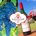 Saddlehorn-Winery_desktop_ET