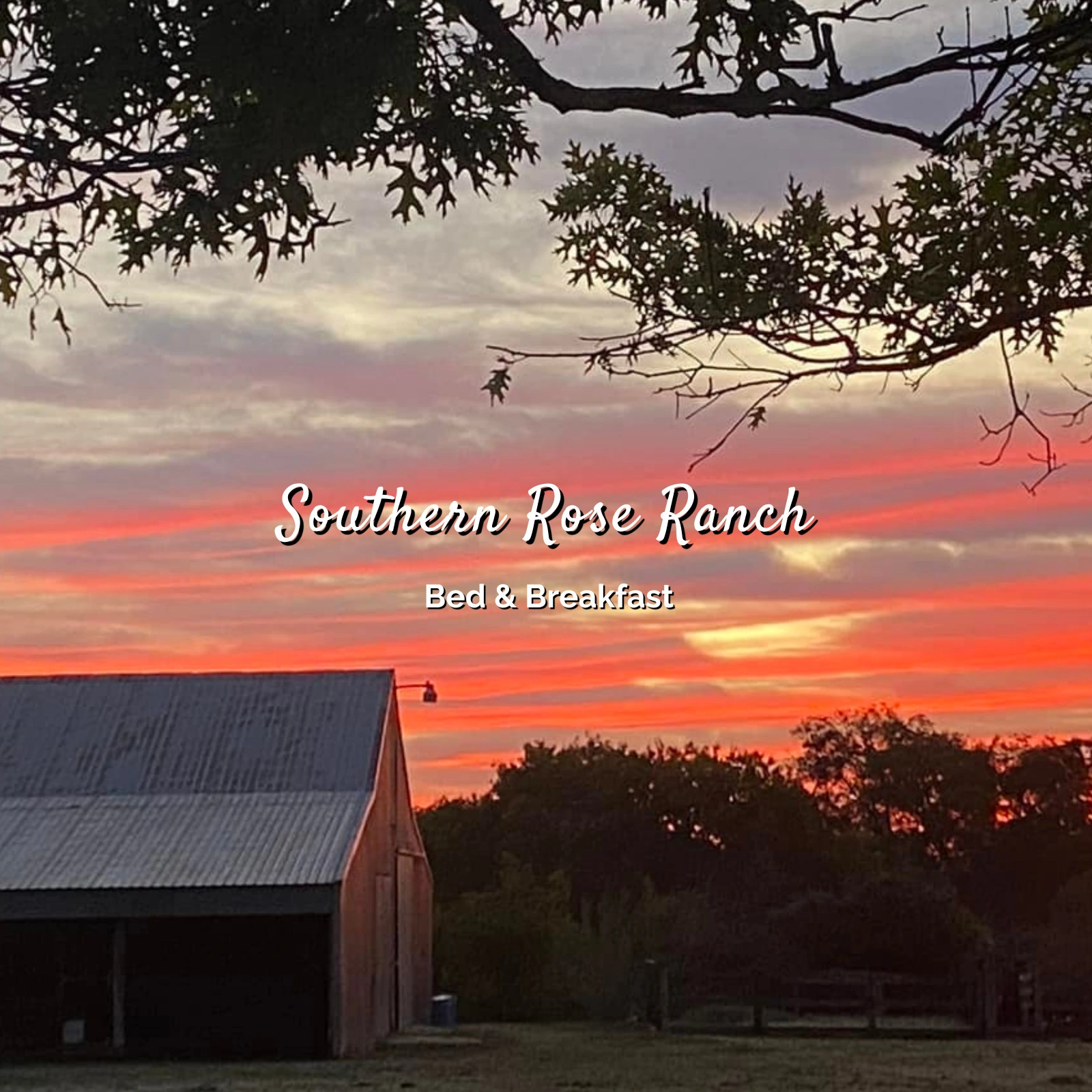 Southern-Rose-Ranch_Mobile_ET