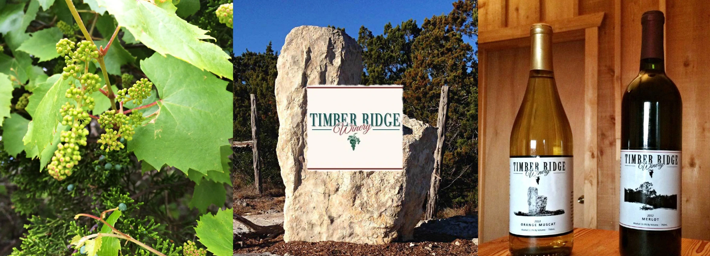 Timber-Ridge-Winery_desktop_ET