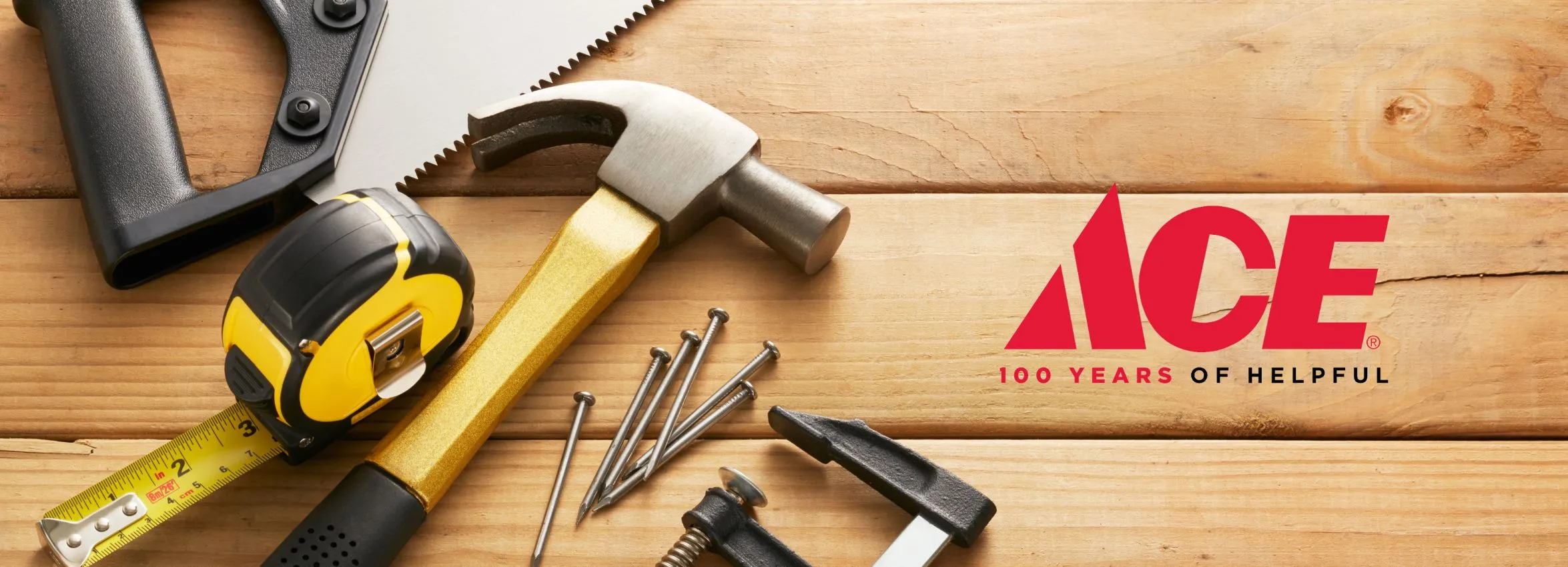 Ace-Hardware_Desktop_ET