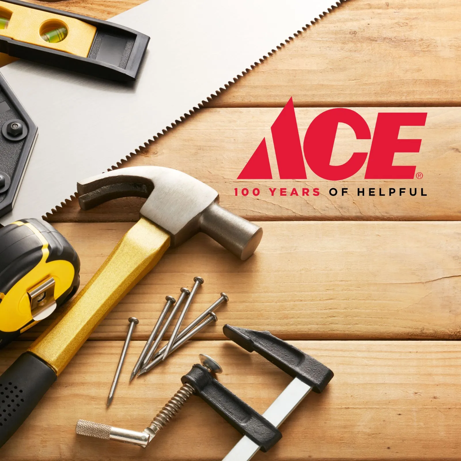 Ace-Hardware_Mobile_ET