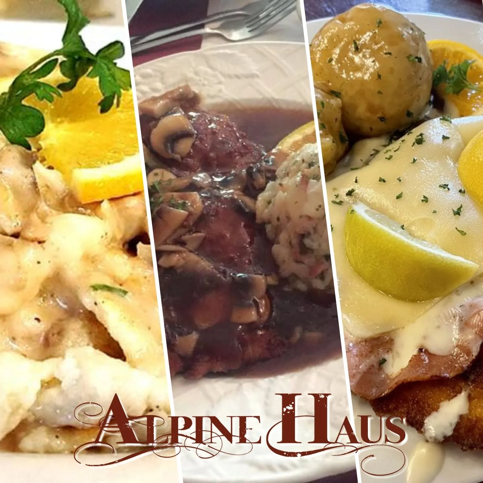 Alpine-Haus_Mobile_ET