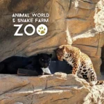 Animal-World-and-Snake-Farm-Zoo_Mobile_ET