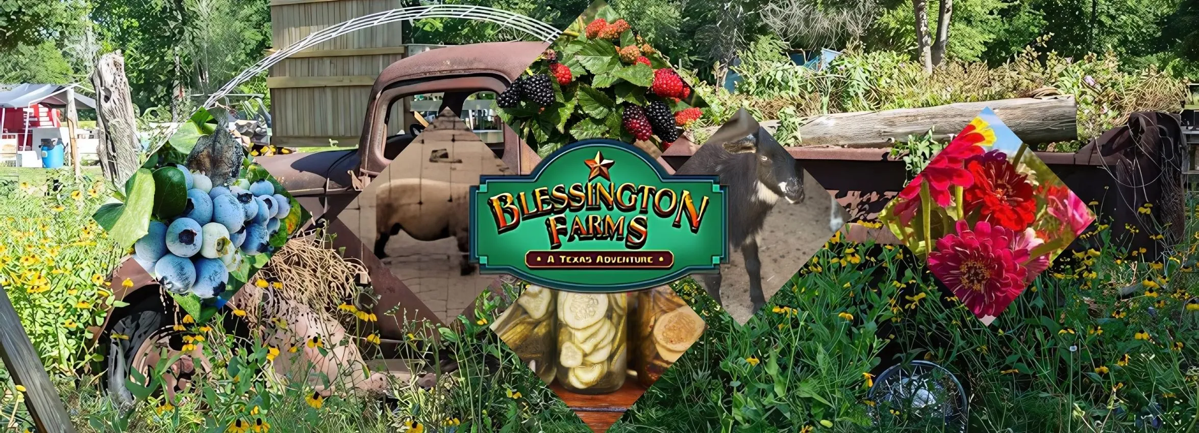 Blessington-Farms_Desktop_ET