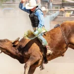 Brazoria-County-Fair-and-Rodeo_Desktop_ET