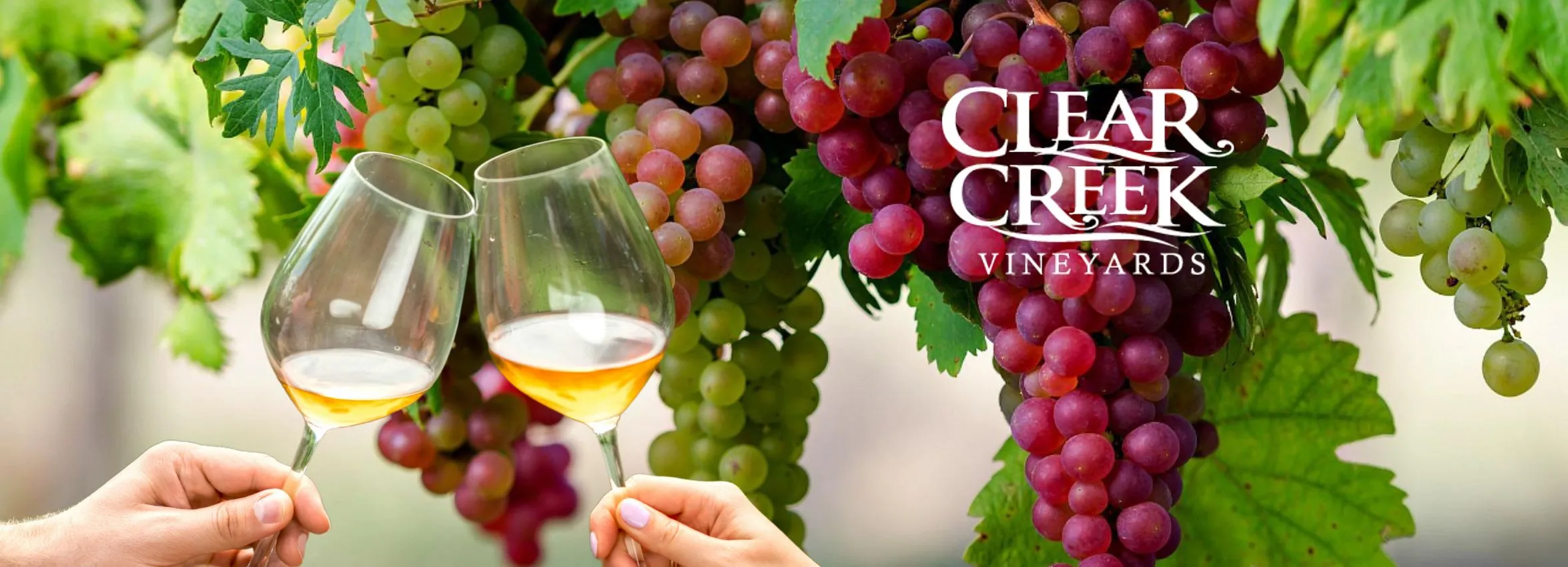 Clear-Creek-Vineyards_Desktop_ET