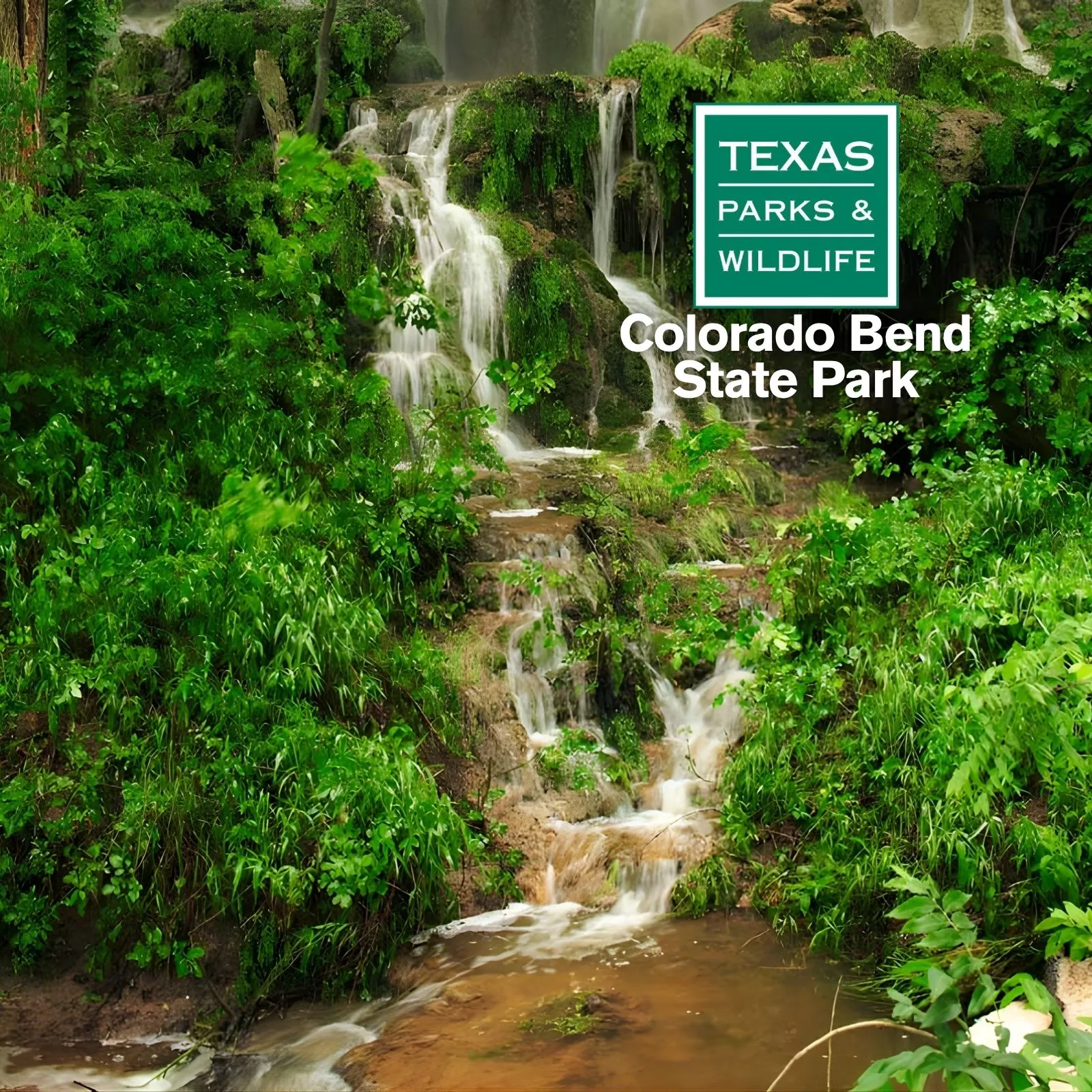 Colorado-Bend-State-Park_Mobile_ET