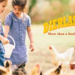 Dierlam-Feed_Desktop_ET