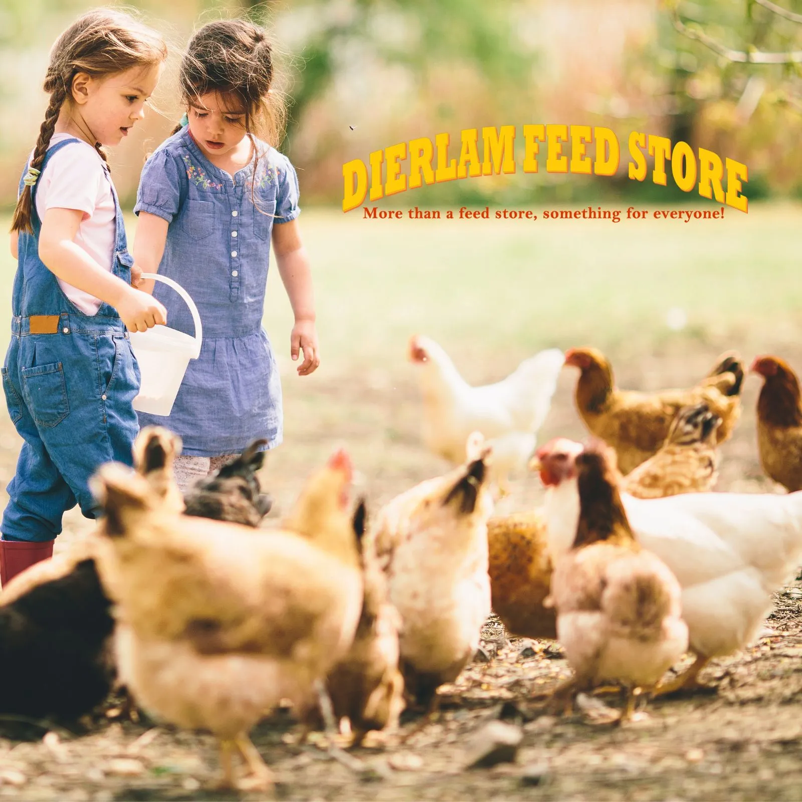 Dierlam-Feed_Mobile_ET