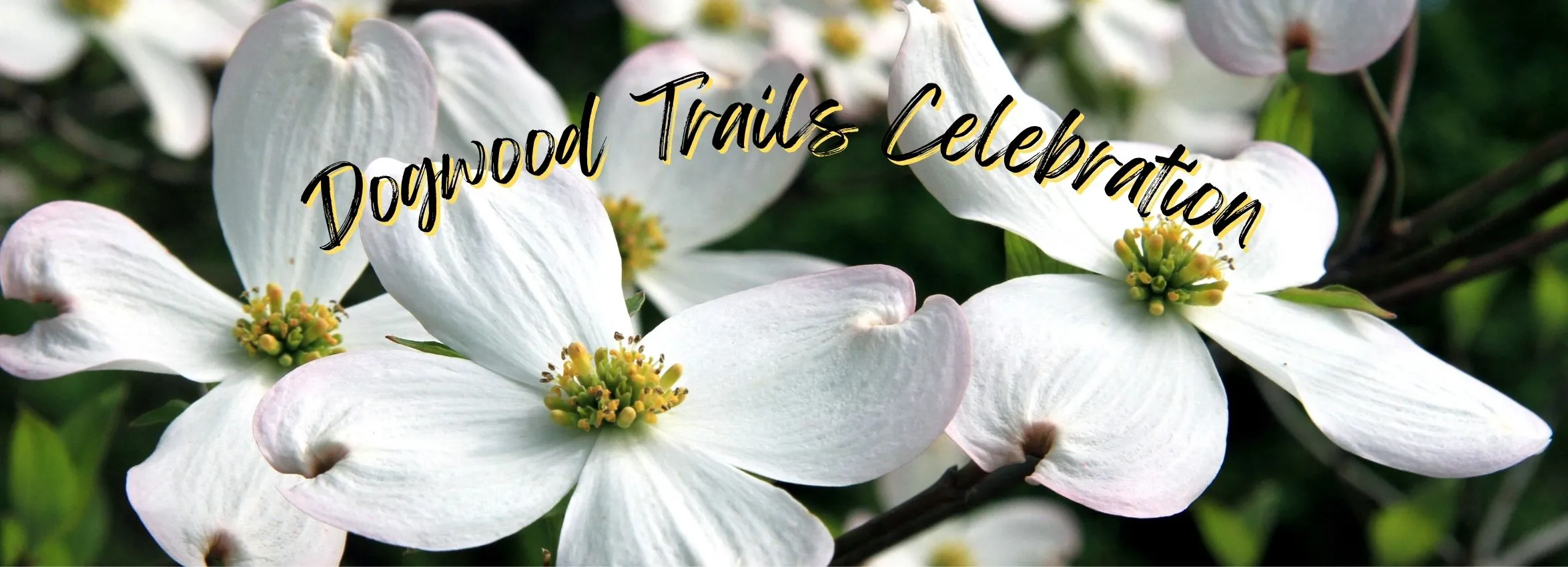 Dogwood-Trails-Celebration_Desktop_ET