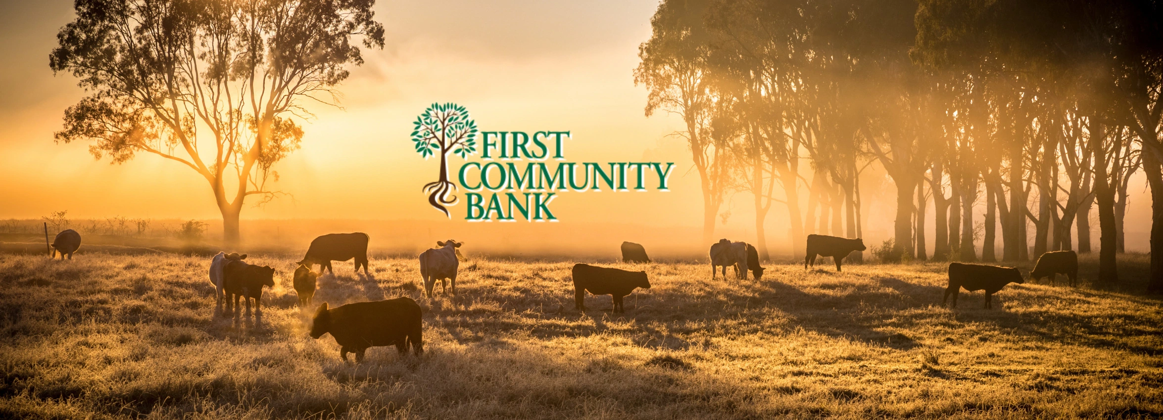 First-Community-Bank_Desktop_ET