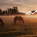 Fulshear-Insurance