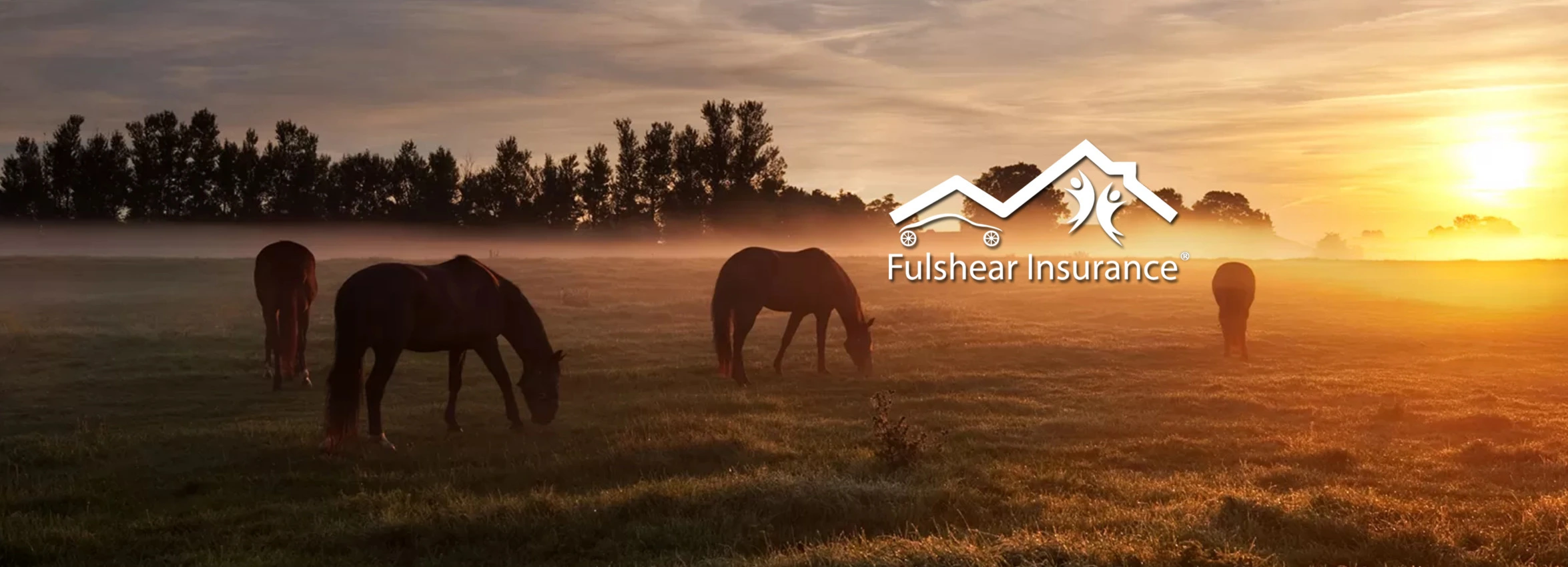 Fulshear-Insurance