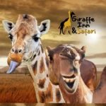 Giraffe-Inn-and-Safari_Mobile_ET