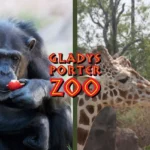 Gladys-Porter-Zoo_Desktop_ET