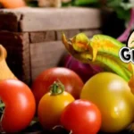 Gundermann-Acres_Desktop_ET
