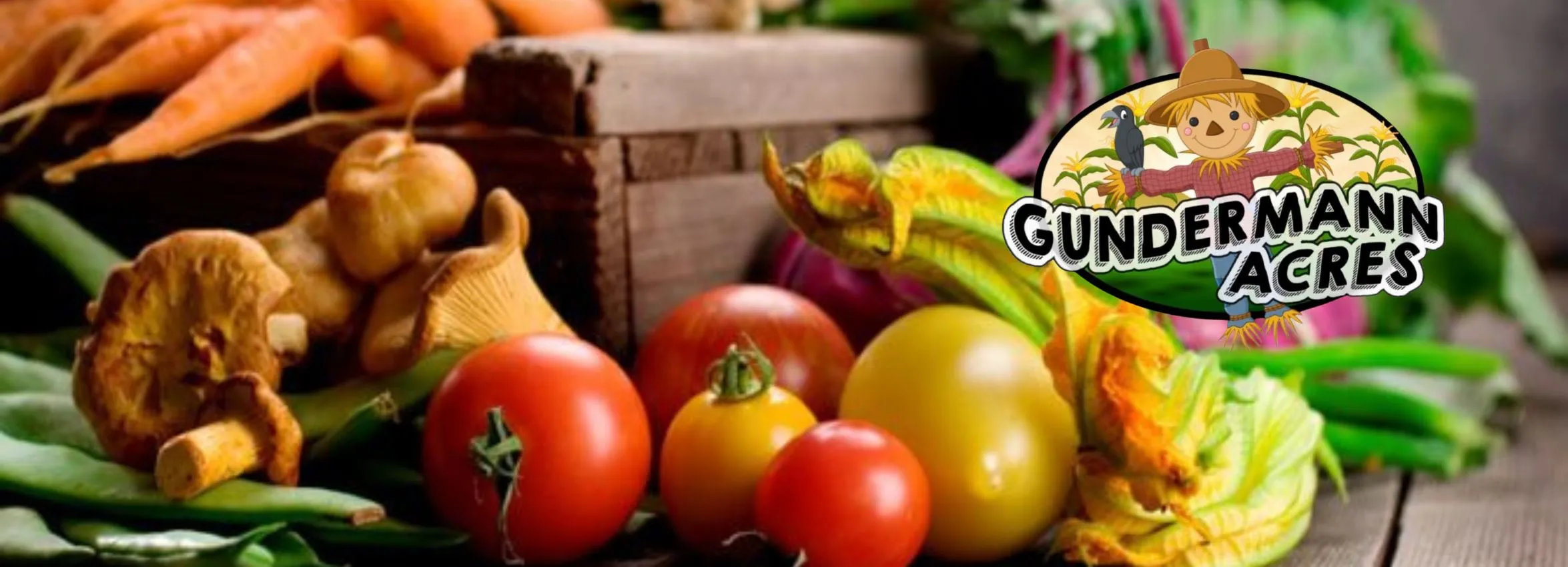 Gundermann-Acres_Desktop_ET