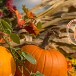 Hoffhines-Harvest-Fest_Desktop_ET