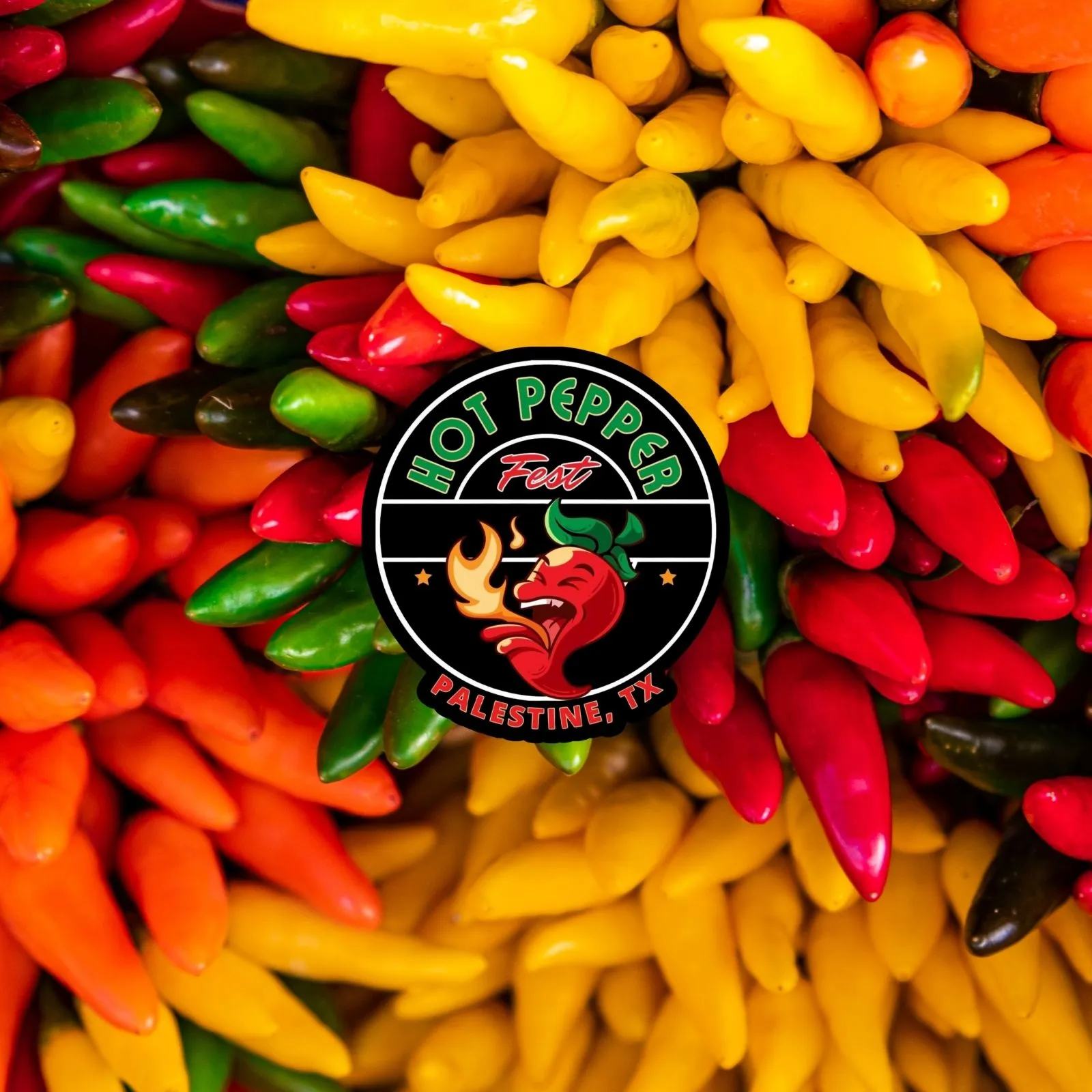Hot-Pepper-Fest_Mobile_ET