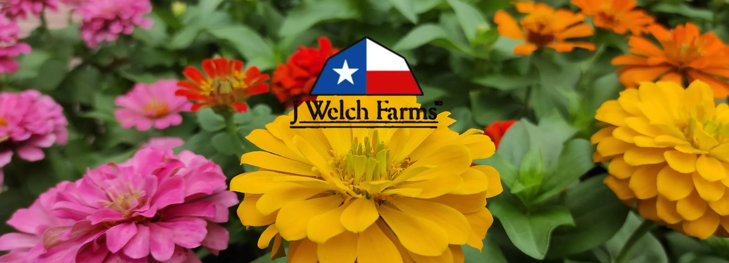 J-Welch-Farms_Desktop_ET-_1_