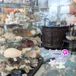 Loving-Coastal-Living_Mobile_ET