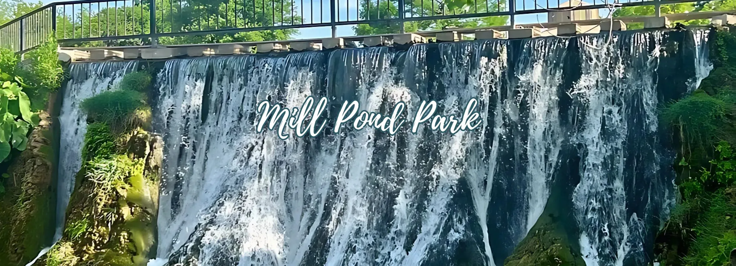 Mill-Pond-Park_Desktop_ET