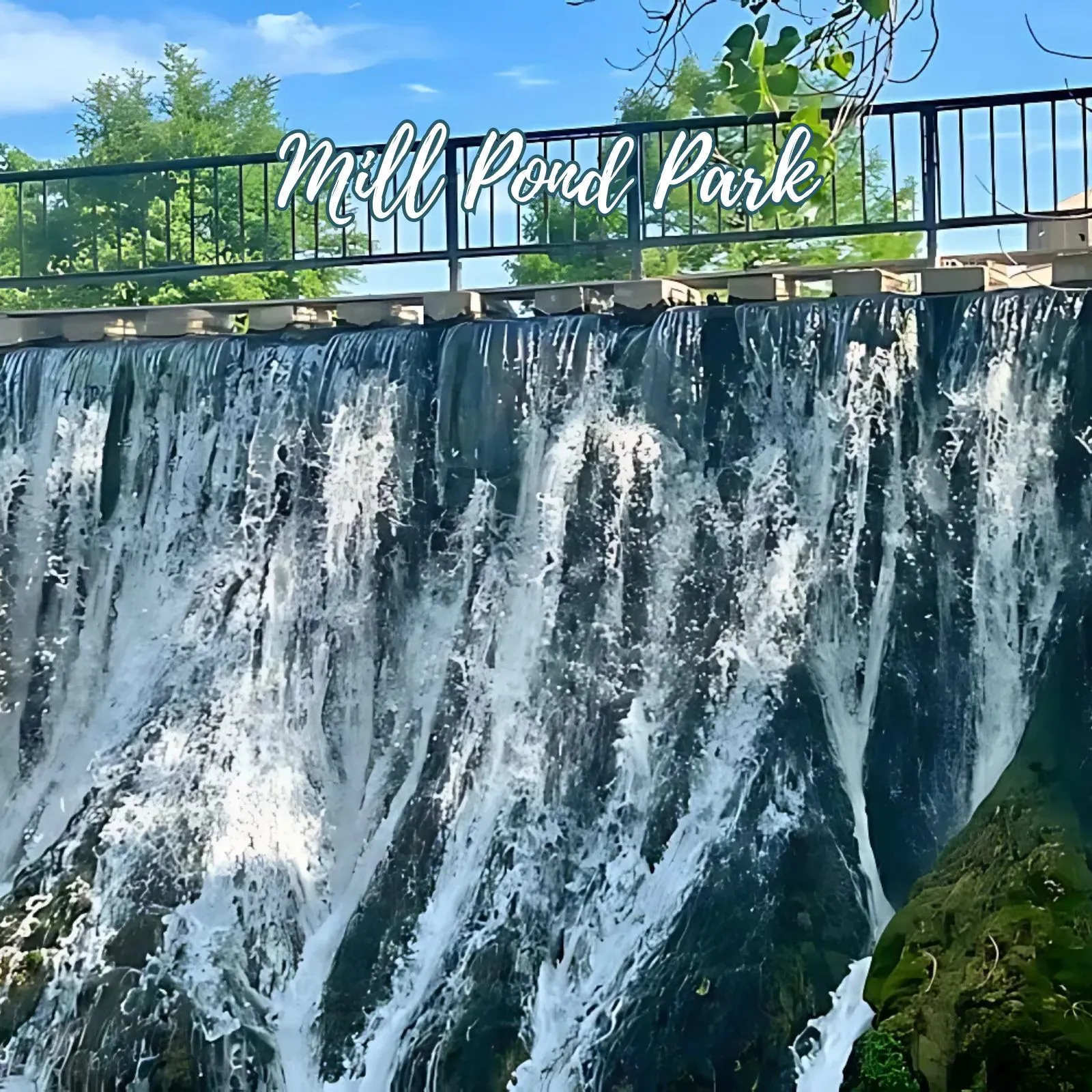 Mill-Pond-Park_Mobile_ET