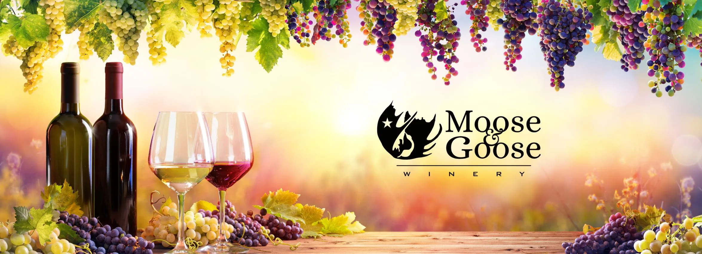 Moose-and-Goose-Winery_Desktop_ET